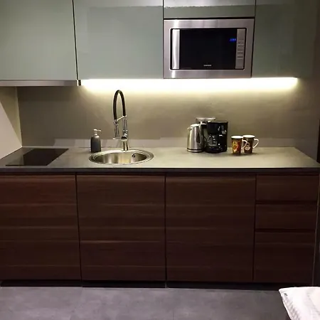 Apartment Artemis Apartament - Chmielna B *
